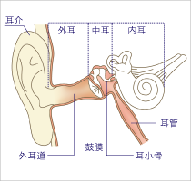 いいだ耳鼻咽喉科